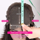 BLY Human Hair Lace Front Wig Deep Wave 4x4 Lace Closure Human Hair Wigs 180% Density Brazilian Virgin Hair Wigs Pre Plucked with Baby Hair Natural Black Color 24 Inch BLY Store