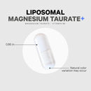 Codeage Liposomal Magnesium Taurate+ Supplement - Magnesium Taurate, Vitamin B6 as Pyridoxal 5-Phosphate, 2-Month Supply - Liposomal Delivery, Vegan, Non-GMO, Gluten-Free, 120 Capsules Infinity Warehouse
