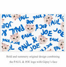 PAUL & JOE Makeup Eyeshadow Palette - Summer Collection - Limited Edition - Original Case Logo with Gipsy’s Face - Includes Four Eye Colors and One Blush Color - 002 Lover - 0.63 oz Infinity Warehouse