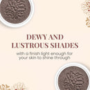 Paul & Joe Sparkling Eye Shadow, Iridescent Eye Glitter with a Buildable Pop of Color, Smooth & Hydrating Gel-Base Eye Makeup with a Dewy Effect, Maroon-Tinged Brown, 04 Candied Chestnut, 0.21 oz Infinity Warehouse