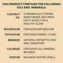 Dead Sea Collection Mineral Shampoo & Conditioner with Coconut Oil Moisturizes and Strengthens Pack of 2 (33.8 fl.oz shampoo 30.6 fl.oz conditioner) Dead Sea Collection