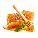 FOREO Manuka Honey UFO activated mask, 0.21 Ounce (Pack of 6) FOREO