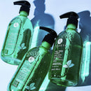 Luseta Tea Tree Oil Body Wash with Mint 16.9oz, Best Body Wash for Sensitive Skin, Sulfate free, Helps Body Odor, Athlete's Foot, Jock Itch, Ringworm, Yeast Infections, Skin Irritations, Shower Gel for Women/Men L LUSETA