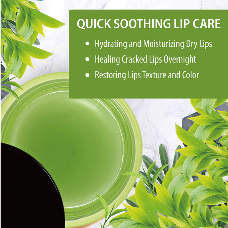 Hebepe Green Tea Matcha Lip Sleeping Mask Overnight with Applicator, Dry Lips Treatment with Coconut Oil, Vitamin E, Fig Extract, Orchid, and Shea Butter, Moisturizer for Dry, Chapped, Cracked Lips Hebepe