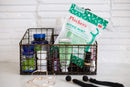 Plackers Micro mint dental floss picks, 300 count, 300 Count Plackers