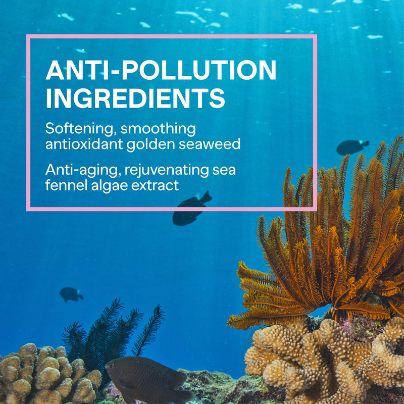 Ready Set Jet Waterless Cleanser – Multi-Functional and Customizable Beauty Baton Add-On with Essential Oils to Cleanse and Hydrate Skin and Gently Remove Impurities and Makeup without Water – 4 g Ready Set Jet