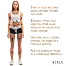 Wet and Dry Body Brush Exfoliator - Soft Bristle Brush Naturally Exfoliates Dead Skin, Smooths Cellulite, Slows Aging, Stimulates Lymph and Blood Flow by Scala Beauty, 5 x 2.75 In Scala