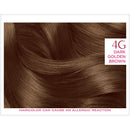 L'Oreal Paris Excellence Creme Permanent Hair Color, 4G Dark Golden Brown, 100 percent Gray Coverage Hair Dye, Pack of 1 L'Oreal Paris