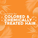 OGX Deeply Restoring + Pracaxi Recovery Oil Anti-Frizz Leave-In Combing Cream with Murumuru Butter, Sulfate-Free Surfactants Conditioning Hair Treatment to Detangle & Style, 8 oz OGX Store