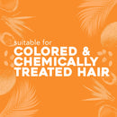 OGX Deeply Restoring + Pracaxi Recovery Oil AntiFrizz Shampoo with Murumuru Butter to Intensely Hydrate Curly Wavy Hair SulfateFree Surfactants for ColorTreated Hair, 13 Fl Oz OGX