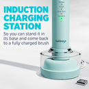 Lumineux Teeth Whitening Sonic Bamboo Electric Toothbrush for Adults - Includes 2 Soft Bristle Replaceable Bamboo Toothbrush Heads, Charging Station & USB Charge Cord - Rechargeable, Light Blue