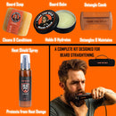 TAME THE WILD Easy Glide Beard Straightener Essentials Kit-Anti Scald Beard Straightening Comb, Heat Protection Spray,Beard Soap,Beard Balm,Detangle Comb, and Storage Case-Ultimate Beard Grooming Kit TAME THE WILD