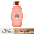 AVEENO Kefir Probiotic Blend Shampoo 12oz Aveeno Store