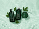 Tea Tree Special Shampoo, 10.14 fl. oz. Tea Tree