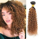 Feelgrace Hair Jerry Curl Ombre Blonde Brazilian Virgin Kinky Curly Human Hair Weave Bundles 1 Piece T1B/30 Color 16 inch Bundle Feelgrace