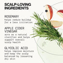 Pacifica Scalp Detox Set – Rosemary Apple Cider Vinegar Scalp Exfoliating Tonic with Scalp Massager Brush, Deep Cleansing & Clarifying Treatment for Buildup, Dry Flaky Scalp, Vegan Infinity Warehouse