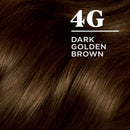 Clairol Nice'n Easy Permanent Hair Dye, 4G Dark Golden Brown Hair Color, 1 Count Clairol