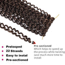 Dorsanee Passion Twist Hair Water Wave Crochet Braids for Passion Twist Crochet Hair Passion Twist Braiding Hair Hair Extensions (6Packs, 14Inch, T30