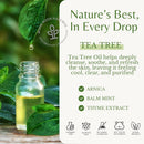 Tea Tree Oil Body Wash, Cleanses & Relieves Itchy Skin, Soothes Jock Itch, Acne & Ringworm, Shower Gel for Dry and Sensitive Skin, Women & Men, Organic & Natural, 16 fl oz, 2-Pack Infinity Warehouse