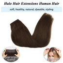 GOO GOO Human Hair Extensions Chocolate Brown,100g Halo Hair Extensions 20 Inch Straight Real Hair Extensions with Fish Line Invisible Wire Hidden Crown Hair Extensions Layered Hairpiece for Women GOO GOO Store