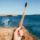 Biodegradable Bamboo Toothbrush by The Humble Co. (5pk) - Eco Friendly Toothbrushes for Sustainable Zero Waste Oral Care, BPA Free Bristle Toothbrush (Medium Bristles) The Humble Co.