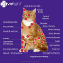 SHINE VETLIGHT Red Light for Dogs, Cats, Horses and Other Animals. Infinity Warehouse