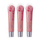 Ruby Kisses Jellicious Mouth Watering Lip Gloss JLG04 (3 PACKS) Kiss Store