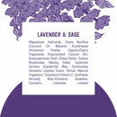 Schmidt's Aluminum-Free Vegan Deodorant Lavender & Sage with 24 Hour Odor Protection, 2 Count for Women and Men, Natural Ingredients, Cruelty-Free, 2.65 oz Infinity Warehouse