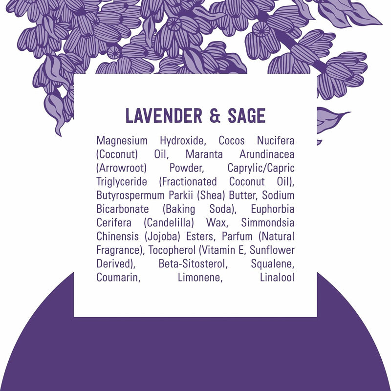 Schmidt's Aluminum-Free Vegan Deodorant Lavender & Sage with 24 Hour Odor Protection, 2 Count for Women and Men, Natural Ingredients, Cruelty-Free, 2.65 oz Infinity Warehouse