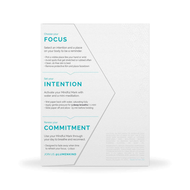 LumenKind, Mindful Marks (Platinum) 31 Tiny Temp Tattoo Mindfulness Stickers - Wearable Reminders for your Intentions. Choose your Focus - Set your Intention - Renew your Commitment LUMENKIND