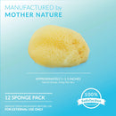 Neptune Natural Sea Soft Silk Sponge - for Cosmetic Use, Art, Facial Cleansing 12pk, 1-1.5 inches Neptune Natural