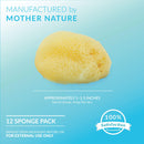 Neptune Natural Sea Soft Silk Sponge - for Cosmetic Use, Art, Facial Cleansing 12pk, 1-1.5 inches Neptune Natural