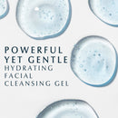 Eucerin Hydrating Face Cleansing Gel, Enriched with Hyaluronic Acid, 6.8 Fl Oz Eucerin