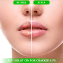 Moisturizing Green Tea Matcha Sleeping Lip Mask Balm, Younger Looking Lips Overnight, Best Solution For Chapped And Cracked Lips, Unique Lip Gloss Formula And Power Benefits Of Green Tea (Matcha) Once Upon A Tea