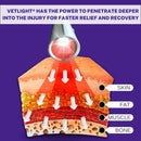 SHINE VETLIGHT Red Light for Dogs, Cats, Horses and Other Animals. Infinity Warehouse