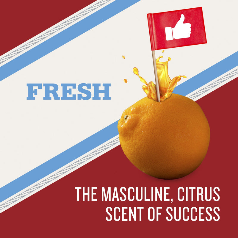 Old Spice High Endurance Fresh Scent Body Wash for Men, 18 oz Old Spice Store