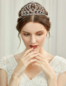 BABEYOND Crystal Queen Tiara Crown Rhinestones Pageant Quinceanera Crown Prom Princess Tiara Crown Bridal Wedding Crown Tiara Headband BABEYOND