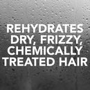 Sebastian Drench Deep Moisturizing Treatment, For Chemically Treated Hair, 16.9oz Sebastian