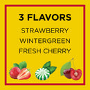 Carmex Daily Care Moisturizing Lip Balm Sticks with SPF, Fresh Cherry, Strawberry and Wintergreen Lip Balm Pack, 0.15 OZ - 3 Count (Pack of 2) Carmex