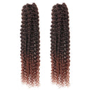 Passion Twist Hair - 18 Inch 2packs Ombre Brown Water Wave Crochet Braids Synthetic Braiding Hair Extensions (18 Inch (Pack of 2), T30)… Glinda