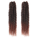 Passion Twist Hair - 18 Inch 2packs Ombre Brown Water Wave Crochet Braids Synthetic Braiding Hair Extensions (18 Inch (Pack of 2), T30)… Glinda