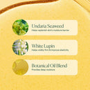 OSEA Undaria Algae Body Oil 5 oz – Visibly Firming, Deeply Moisturizing, Instantly Improve Elasticity, Clean Lightweight Non-Greasy Hydration, Vegan & Cruelty-Free Seaweed Skincare Infinity Warehouse