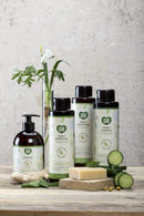 ecoLove - Natural Conditioner for All Hair Types - Safe for the Whole Family - No SLS or Parabens - With Organic Cucumber Extract - Vegan and Cruelty-Free, 17.6 oz ecoLove