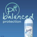 Secret Shower Fresh Invisible Solid Antiperspirant and Deodorant 2.6 oz Secret Store