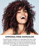 L'Oreal Paris Hair Makeup Temporary 1-Day Hair Color for Blondes, Hot Pink 300, 1 Fluid Ounce L'Oreal Paris