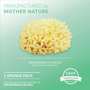 Neptune Natural Sea Wool Sponge - All Natural Honeycomb Renewable Sea Sponge, X -Large, Approx. 6 Inches Neptune Natural