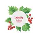 ATTITUDE Glowing Body Wash For Oily Normal Dry Skin EWG Safe Hypoallergenic Vegan CrueltyFree Body Wash 16 Fluid Ounce, Red Vine Leaves, 11294 ATTITUDE