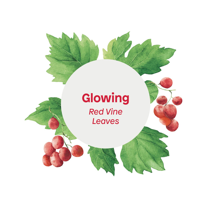 ATTITUDE Glowing Body Wash For Oily Normal Dry Skin EWG Safe Hypoallergenic Vegan CrueltyFree Body Wash 16 Fluid Ounce, Red Vine Leaves, 11294 ATTITUDE