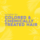 OGX Purifying + Charcoal Detox Dry Shampoo Spray with Activated Charcoal & Kaolin Clay for Fresh Full Hair, Dry Shampoo to Absorb Excess Oil & Revive Dull Second-Day Hair, 5 Ounce OGX