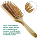 Giorgio Wooden Bristle Paddle Hairbrush, Large Detangling Cushion Brush for Thick Curly or Long Hair, Anti Static, Reduce Frizz and Massage Scalp, Detangler Hair Brush for Women Men and Kids GIORGIO